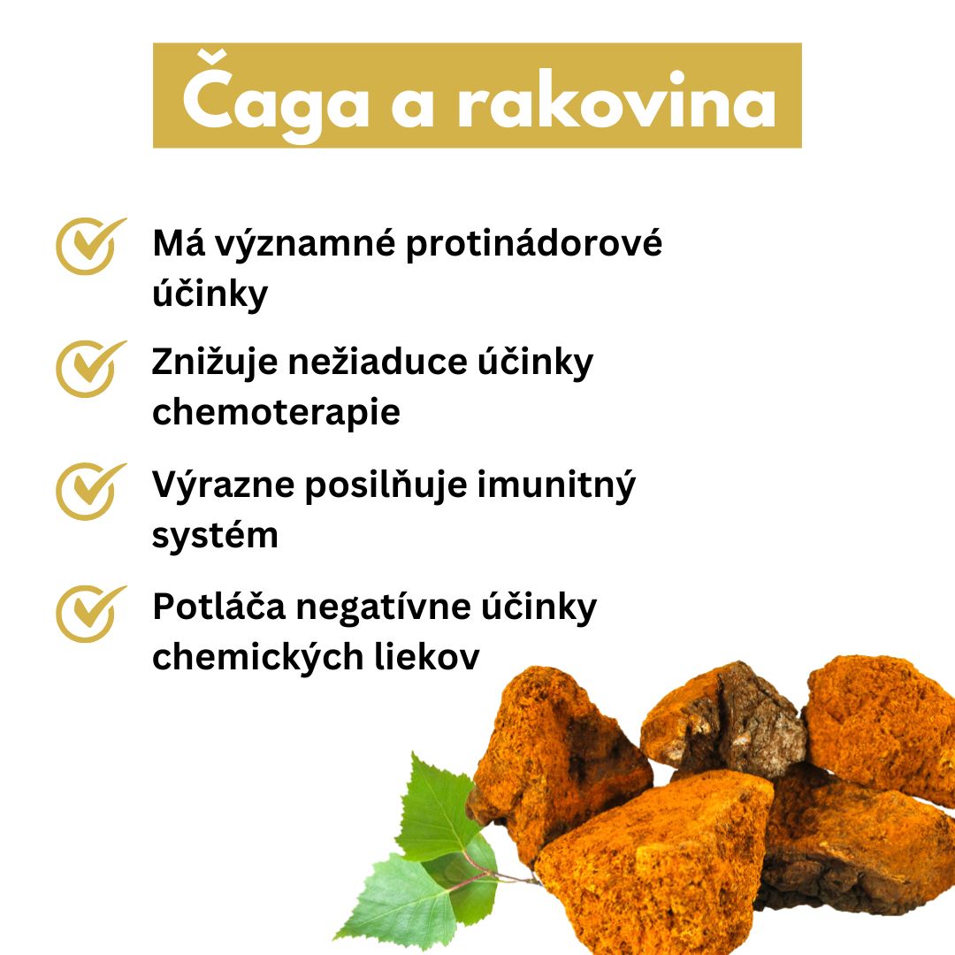 Čaga a rakovina